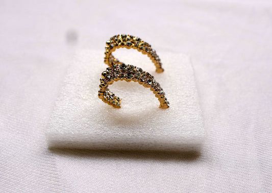 ZTS New Luxury Golden Ear Ring